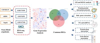 Bioinformatics and system biology approach to identify the influences among COVID-19, ARDS and sepsis
